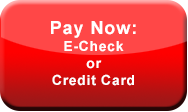 Pay your bill with a credit card or e-check now.